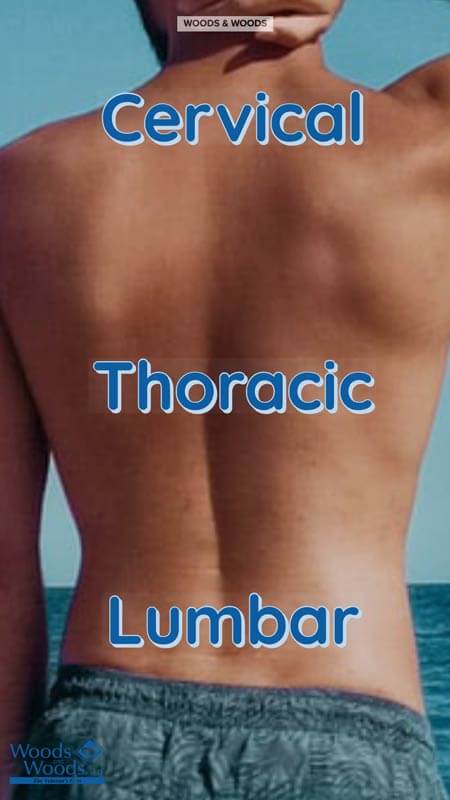 Picture of a man's back labelling the Cervical, Thoracic, and Lumbar regions of the back.